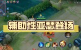 王者荣耀直装辅助-王者荣耀双辅助流怎么打