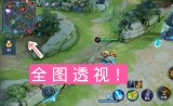 王者荣耀透视客户端防封版（王者荣耀透视客户端防封版下载）