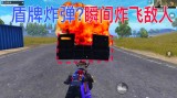 和平精英透视（和平精英透视辅助器）