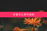 抖音协议挂粉：如何保证账号安全性和可信度？