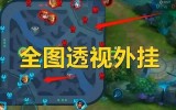 王者荣耀辅助器(免费)透视 手机版v1.71