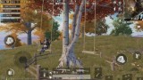 和平精英西江月稳定版特色