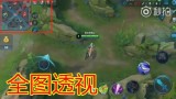 揭秘王者荣耀透视技巧秘密，游戏公平性的隐形杀手