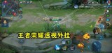 王者荣耀透视官网-王者荣耀：自瞄挂的第一视角，这些外挂是怎么活到现在的？